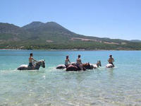 Verdon Équitation - Centre Equestre Les Salles-sur-Verdon