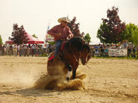 Versatile Stud Ranch - Centre Equestre à Solérieux