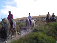 Village équestre de Bécherel - Randonnée à Cheval à Plouyé (29)