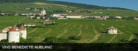 Vins Benedicte Aublanc - Domaine Viticole à Quincié en Beaujolais