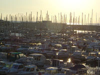 Yachting Club de la Pointe Rouge Section Pêche - Pêche en Mer à Marseille