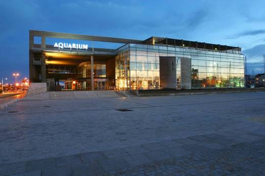 Aquarium la Rochelle