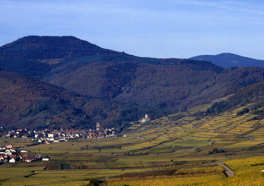 10 promenades autours de Kaysersberg par le Club Vosgien