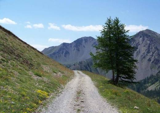 Accompagnateur en Montagne - Nicolas Thevenet