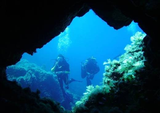 Anthias Diving