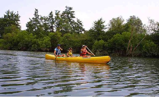 Aquabalade en canoë