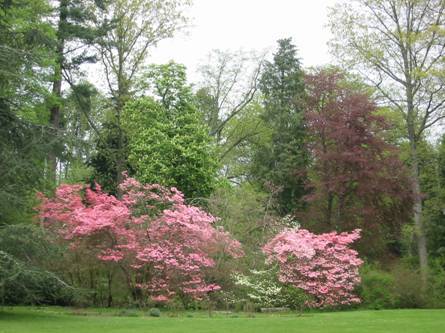 Arboretum de Balaine