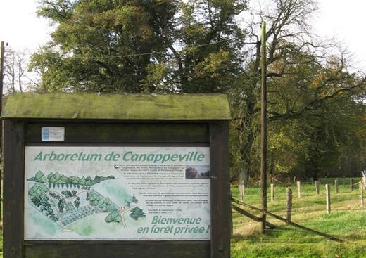 Arboretum de Canappeville