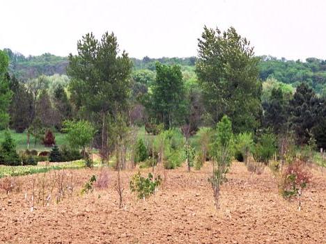 Arboretum de Chèvreloup