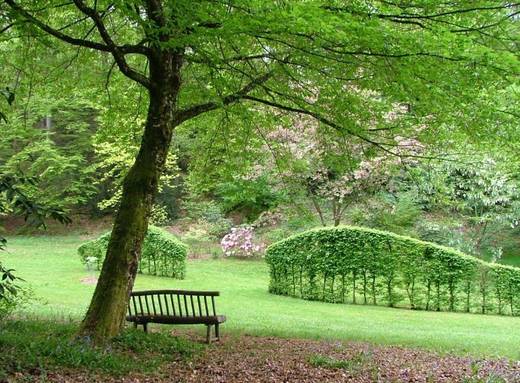 Arboretum de la Sédelle