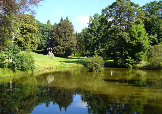 Arboretum de Neuvic d'Ussel