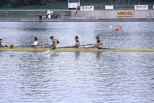 Association Sportive Mantaise d'Aviron