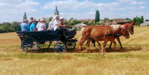 Attelage de la Gazelle