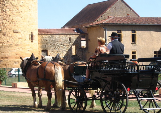 Attelages du Brionnais