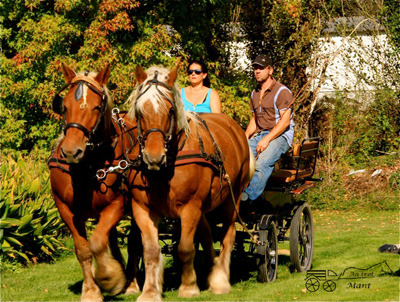 Balades en Calèche avec Autrot'Mant