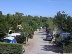 Camping l'Orée du Bois