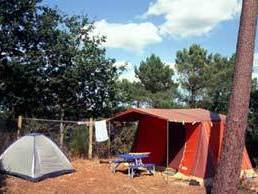 Camping La Sapinière