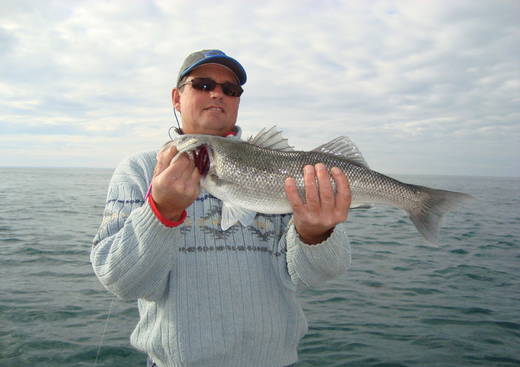 Cap Fréhel Pêche et Nature