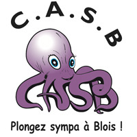 Casb