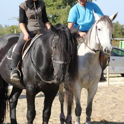 Cavaliers de la Louviere