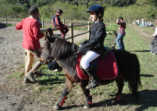 Centre Equestre de Chassournet