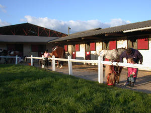 Centre Equestre de la Perchais