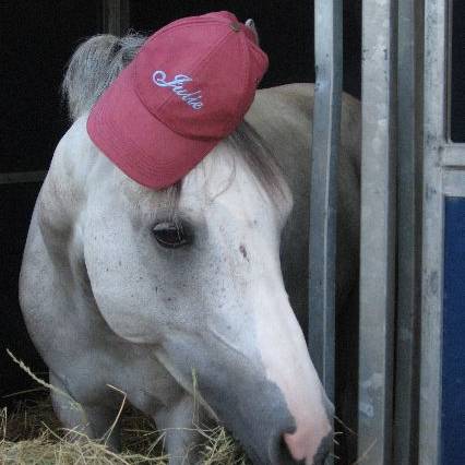 Centre Equestre de Saint-Yzan de Soudiac