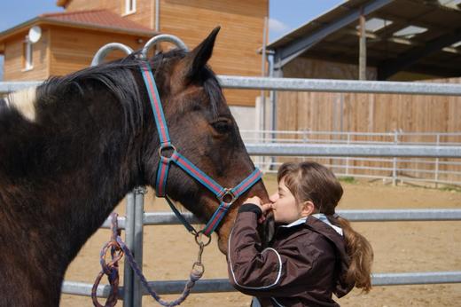 Centre Equestre des Monts d'Or