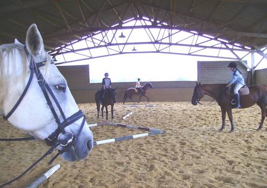 Centre Equestre du Passe-temps