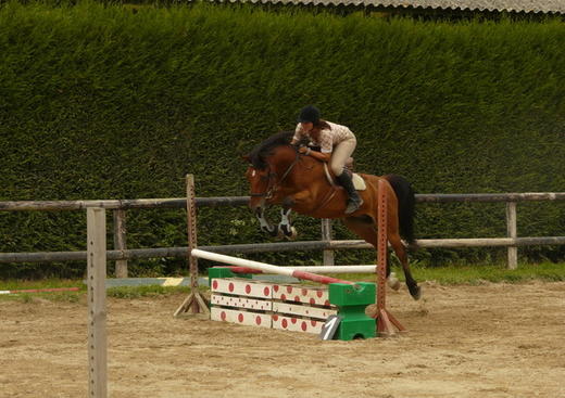 Centre Equestre l'Arche de Néo