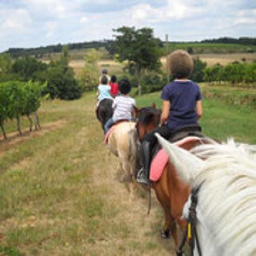 Centre Equestre La Réole