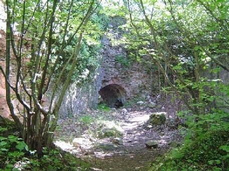 Château de Schwartzenbourg - ruines