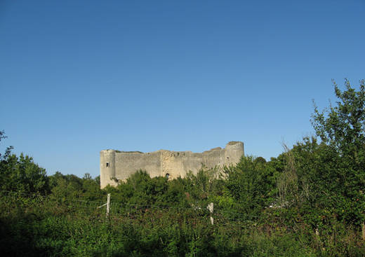 Château de Gencay