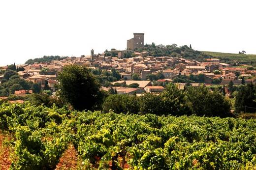 Château des Papes