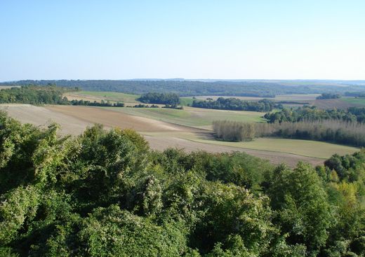 Chemin des Dames