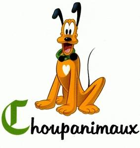 Choupanimaux