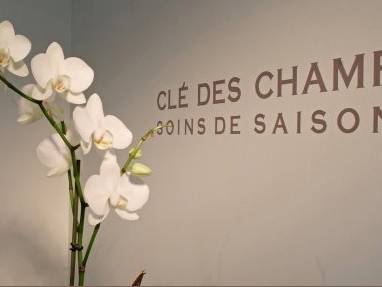 Clé des champs