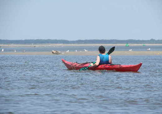 Club de Kayak de Mer et de Va'a de la Baie des Phoques