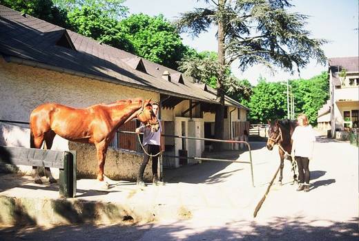 Club hippique des Etangs