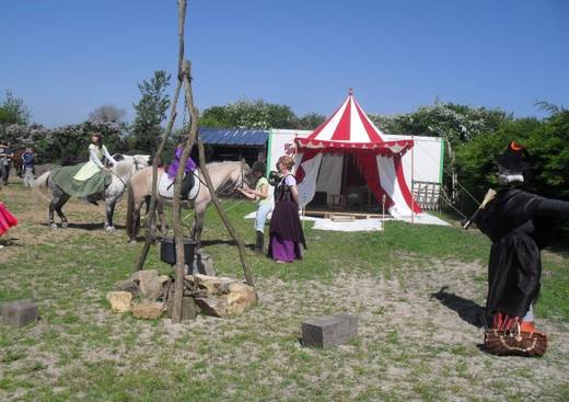 Centre Tourisme Equestre Chevaux et Anes des Mares