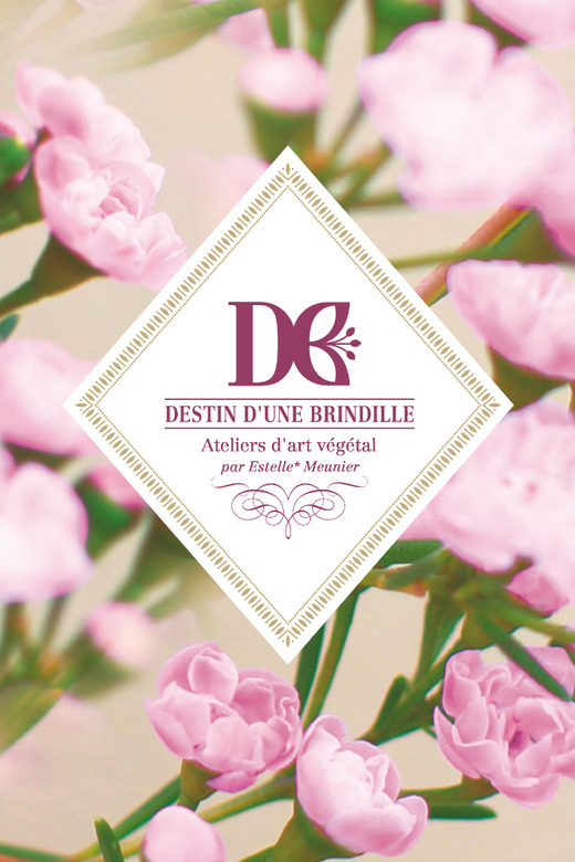 Destin d'une Brindille