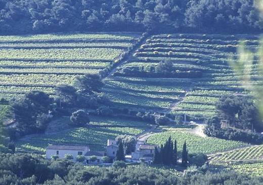 Domaine du Paternel