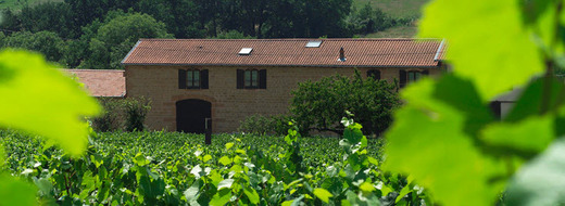 Domaine du Vissoux