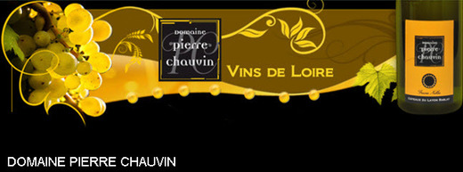 Domaine Pierre Chauvin