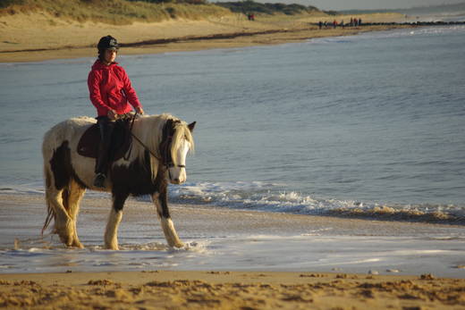 Ferme Equestre Dream Pony