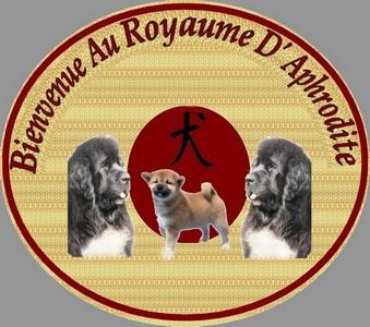 Du Royaume d'Aphrodite