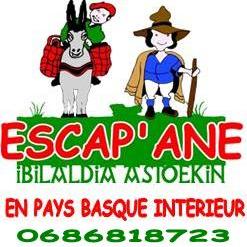 Escap'âne en Pays Basque Intérieur