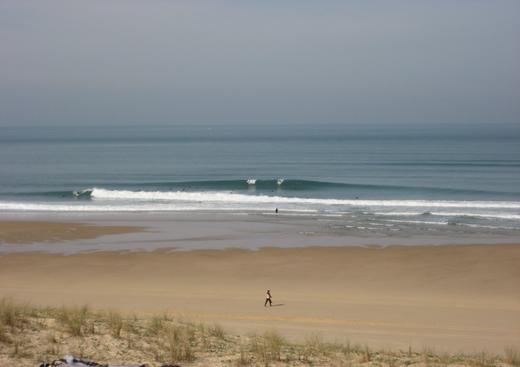 ESCF - École de Surf du Cap Ferret