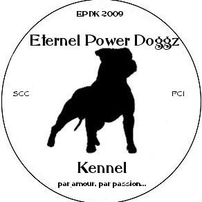 Eternel Power Doggz