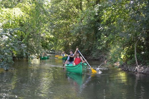 Falm Canoe Kayak